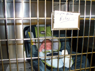 Baby Stephen at the roanoke Island animal clinic