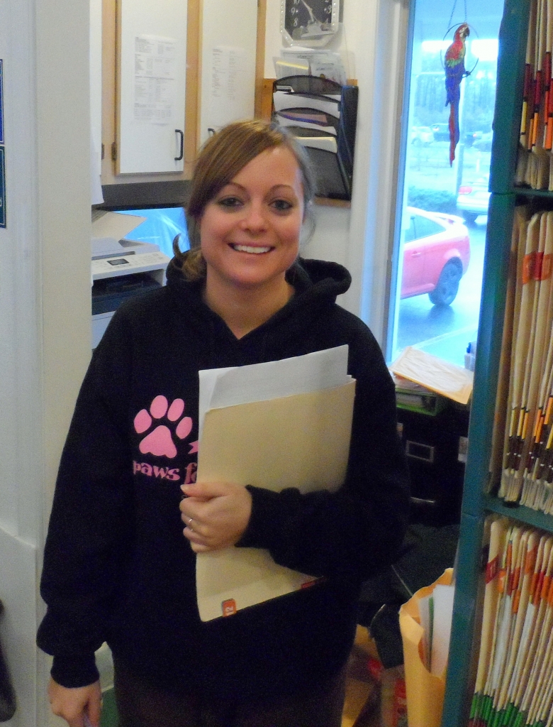 roanoke island animal clinic roanoke island animal clinic