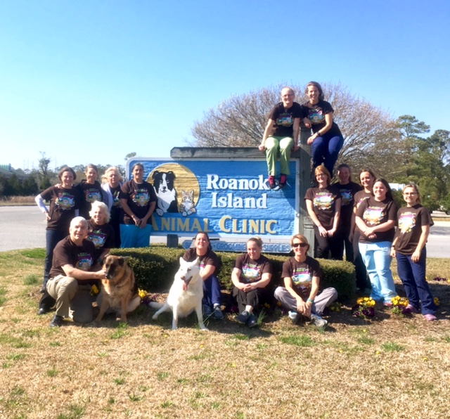 Roanoke Island Animal Clinic - Home