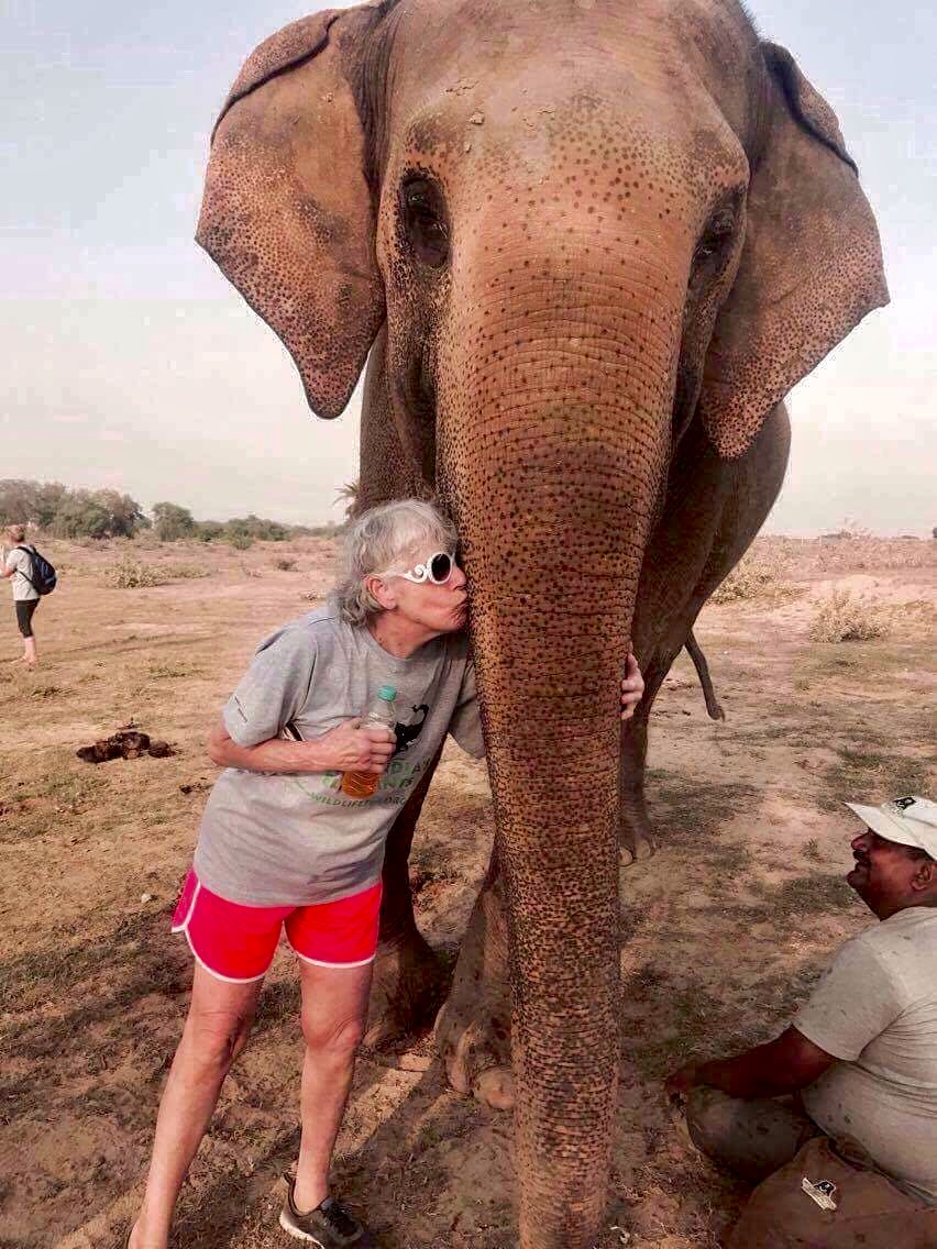 kissing elephant